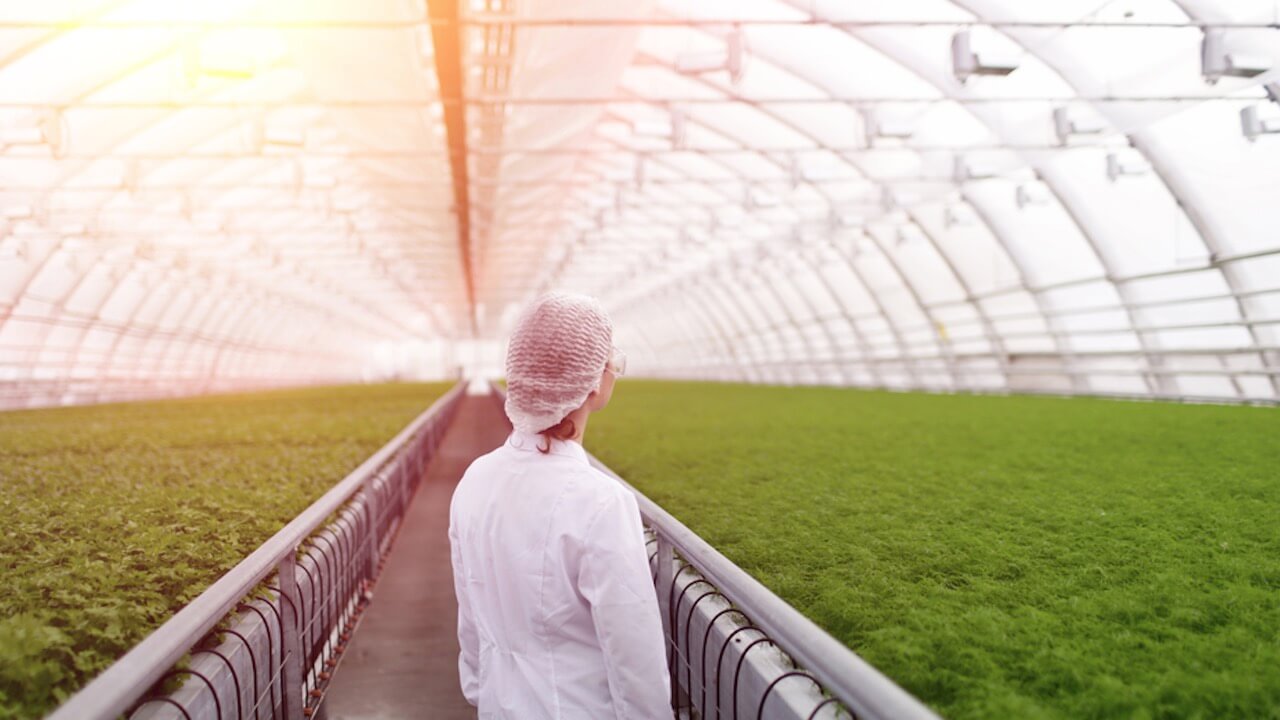 10 Milliarden - Wie Werden Wir Alle Satt?